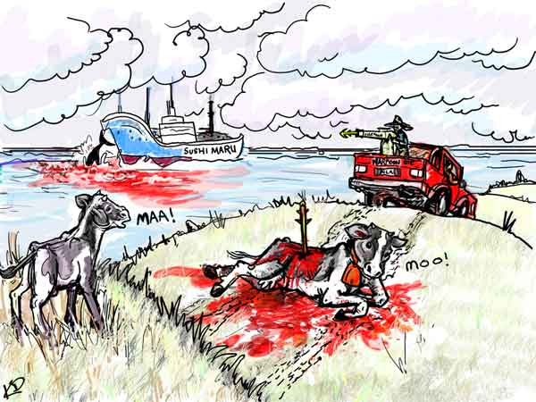 Cartoon pic showing harpooning whales and cows.